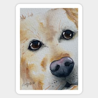 Golden Retriever Sticker